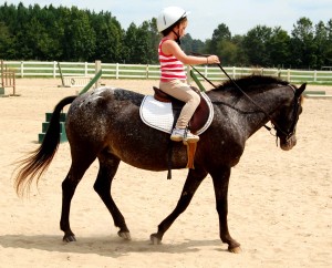 Equestrian Camp 2009 III