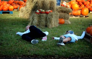 Pumpkin Patch 2009 4