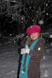 Snow 2010 II