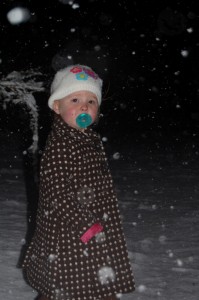 Snow 2010 III
