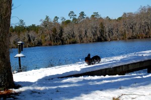 Snow Day 2010 V